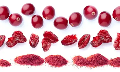 Best Cranberry Fruit Powder for Private Label Brands